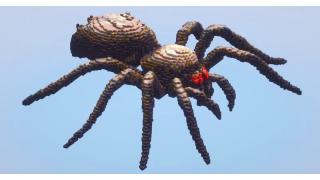 Spider