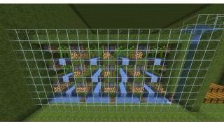 DonutSMP Bamboo Farm