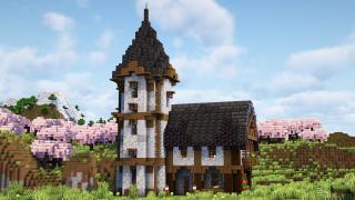 Medieval House