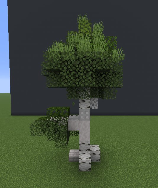 Birch tree pack – key image