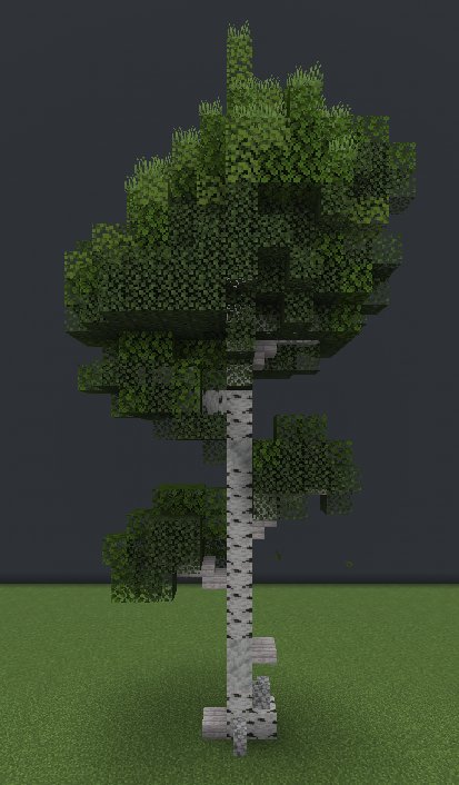Birch tree pack – additional image