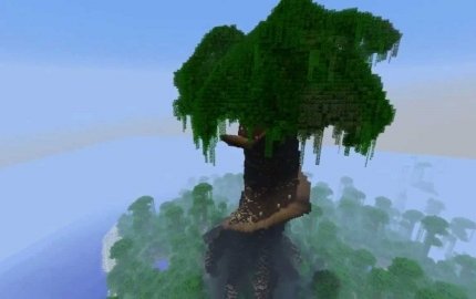 tree – key image