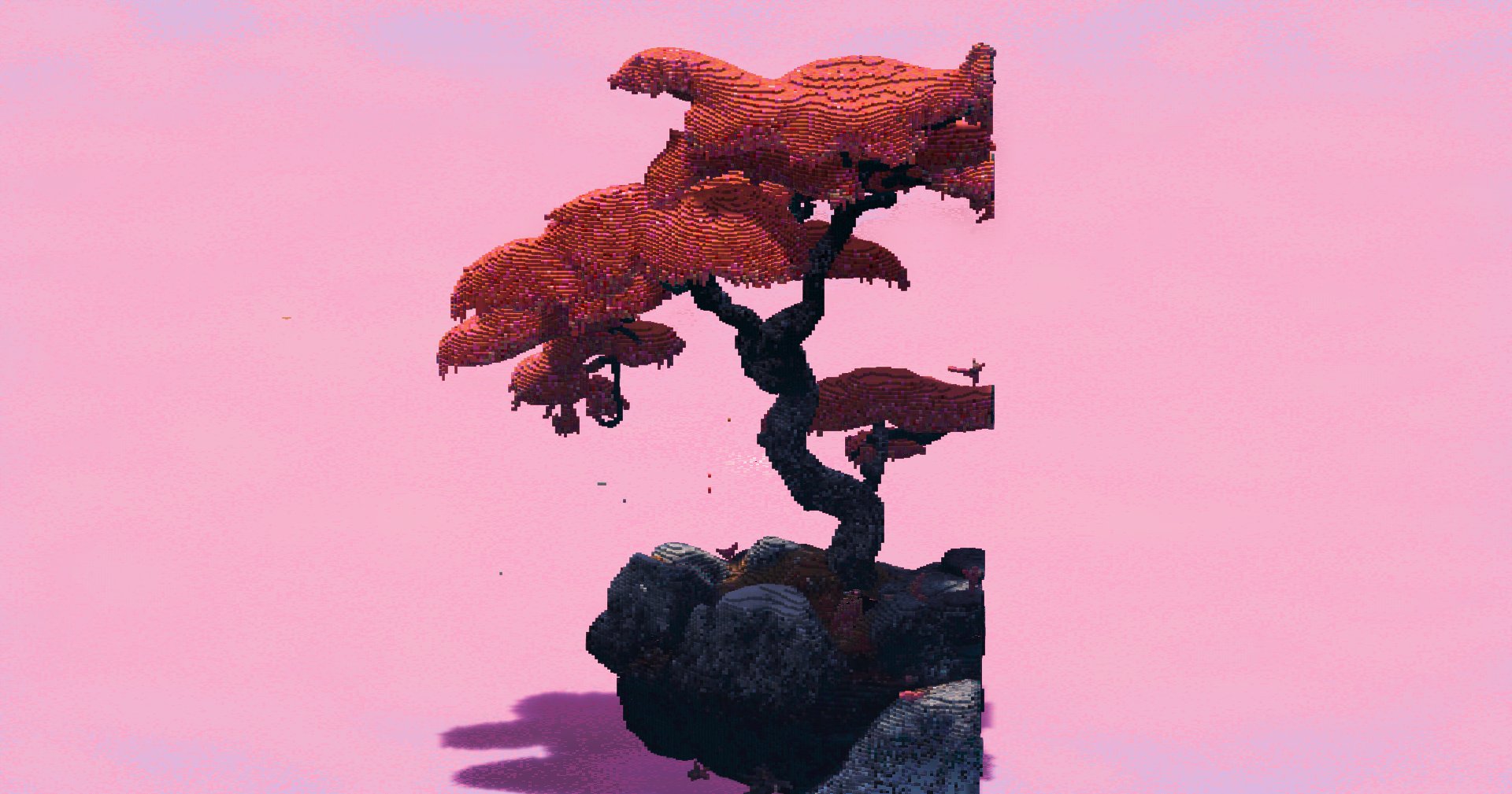 Cherry Tree – additional image